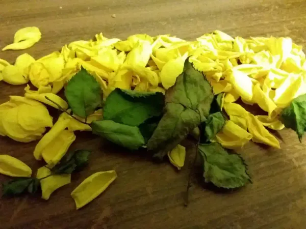 Ar duoti tėvams asmeninį numerį?