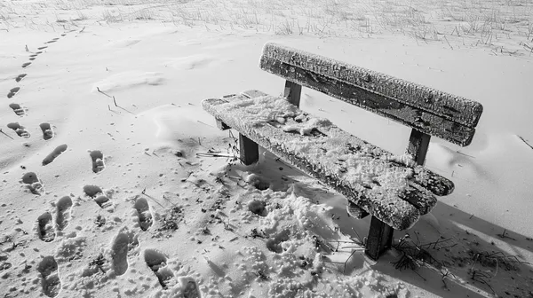 Diena tarp dviejų meilių